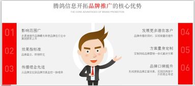 騰鴿信息 一站式網絡營銷外包與商務咨詢服務，驅動企業數字化增長